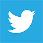 small low res twitter